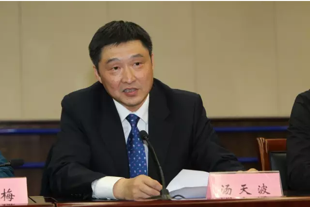 图为汤天波正在讲话